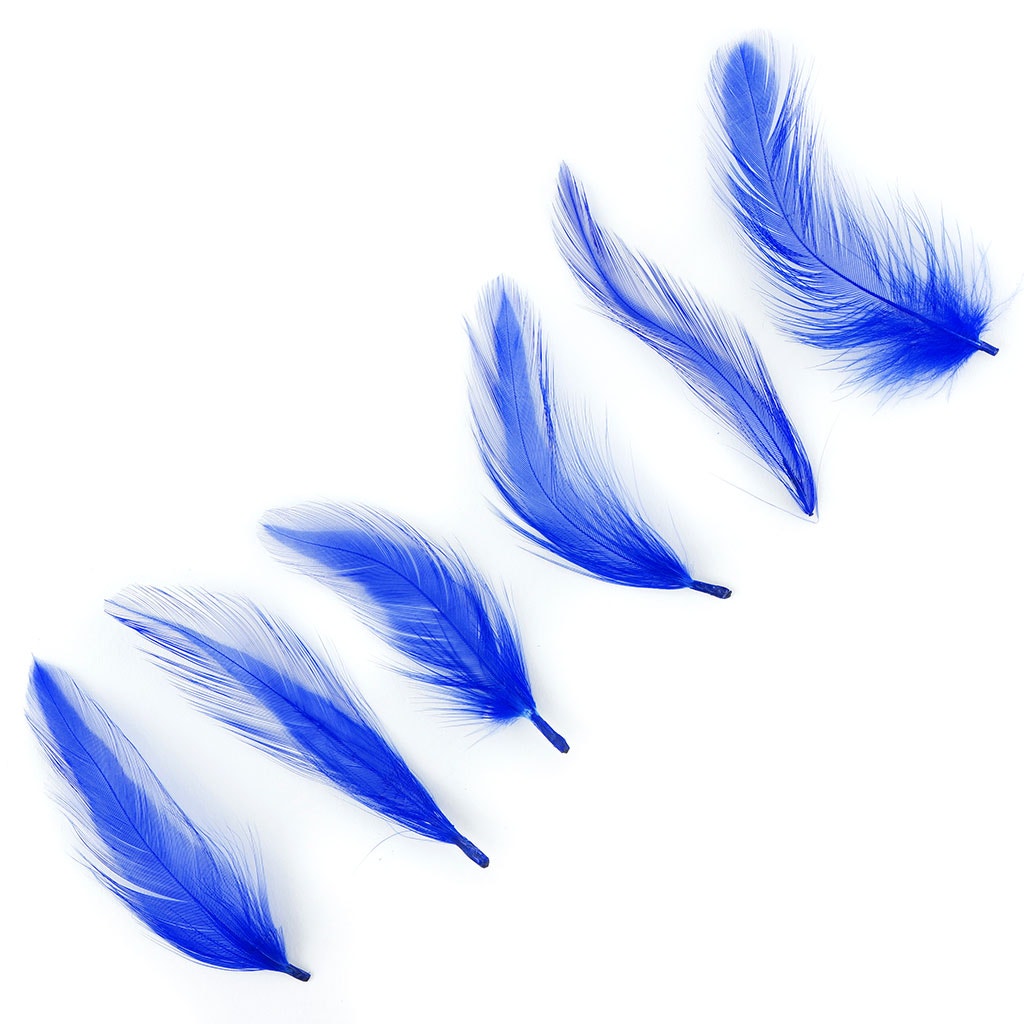 Rooster Hackle-Dyed - Royal