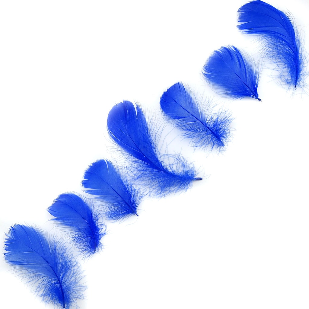 Royal Blue Loose Goose Coquille Feathers 3-5 inch