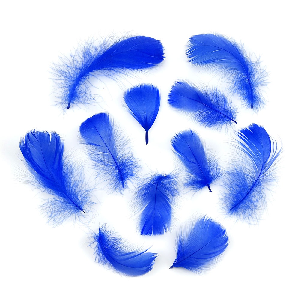 Royal Blue Loose Goose Coquille Feathers 3-5 inch