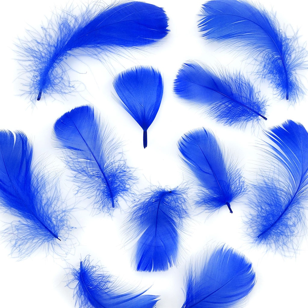 Royal Blue Loose Goose Coquille Feathers 3-5 inch
