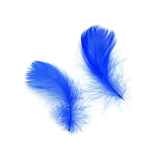 Royal Blue Loose Goose Coquille Feathers 3-5 inch
