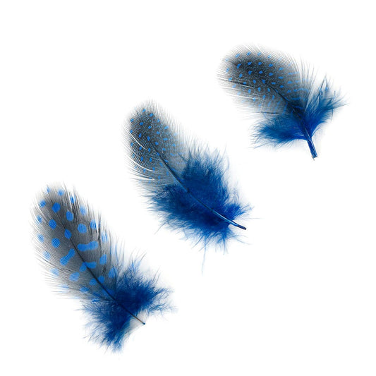 Bulk Guinea Hen Plumage - 1/4 lb - Royal