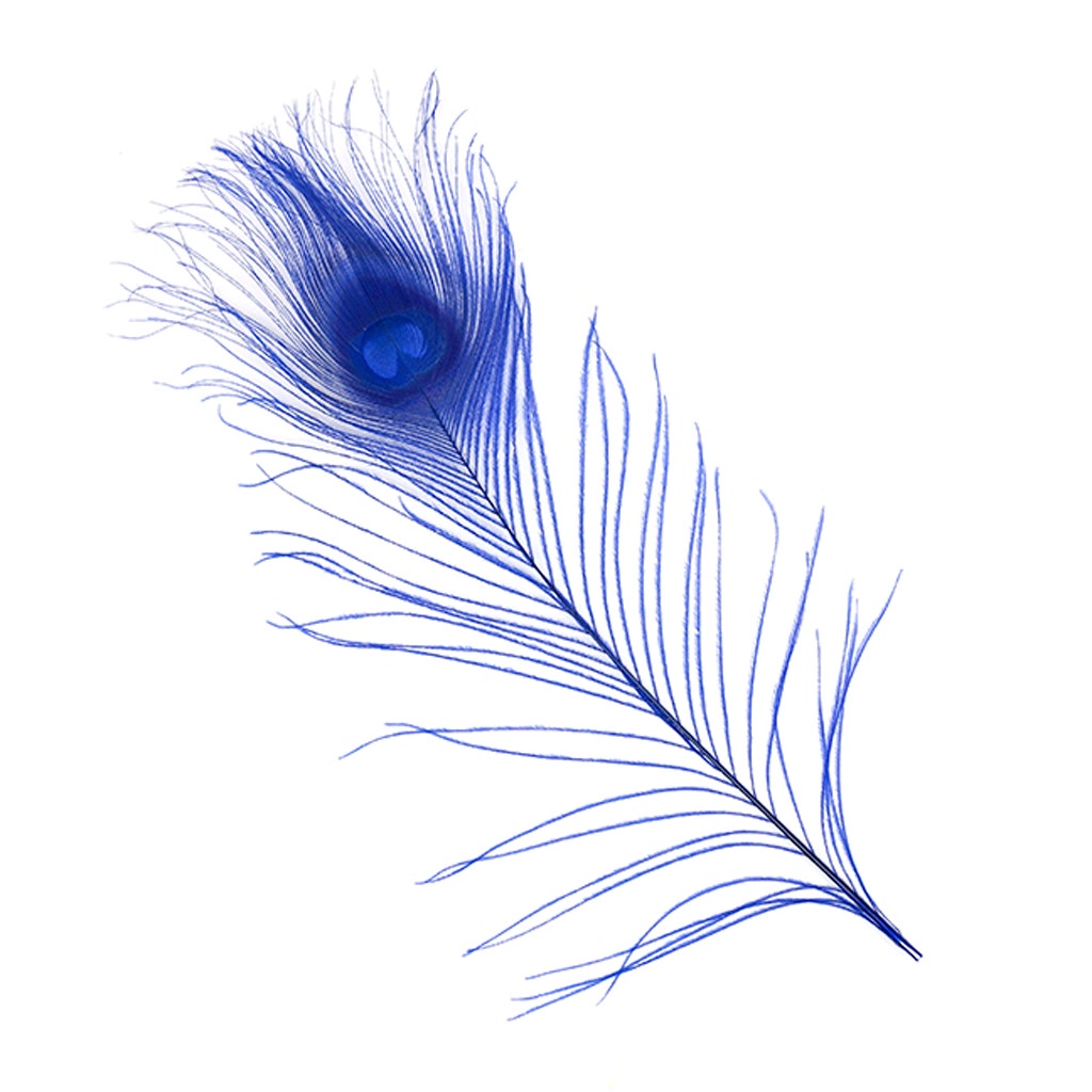 Peacock Tail Eyes Bleached and Dyed - 8-15” - 100 pc - Royal