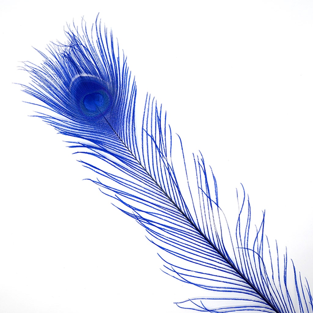 Peacock Tail Eyes Bleached Dyed - Royal