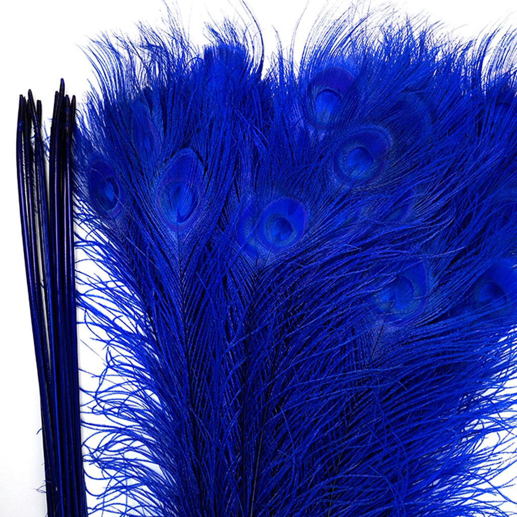 Peacock Eyes Bleached/Dyed - Royal