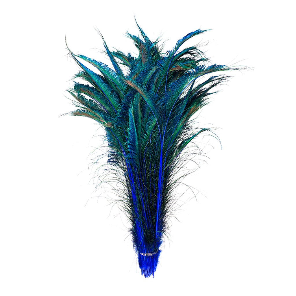Peacock Swords Stem Dyed - Royal