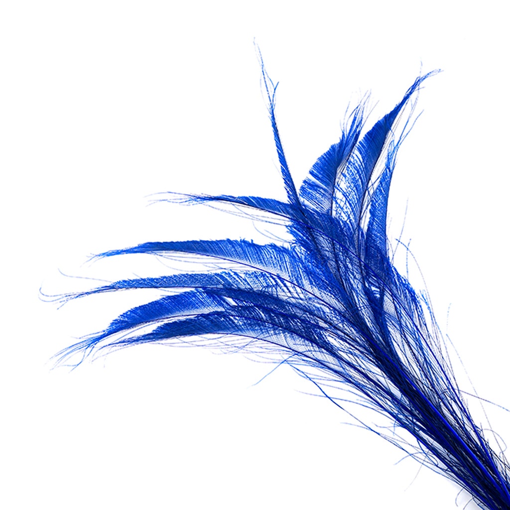 Peacock Swords Bleached/Dyed - Royal