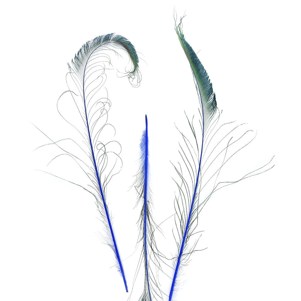 Peacock Swords Stem Dyed - Royal