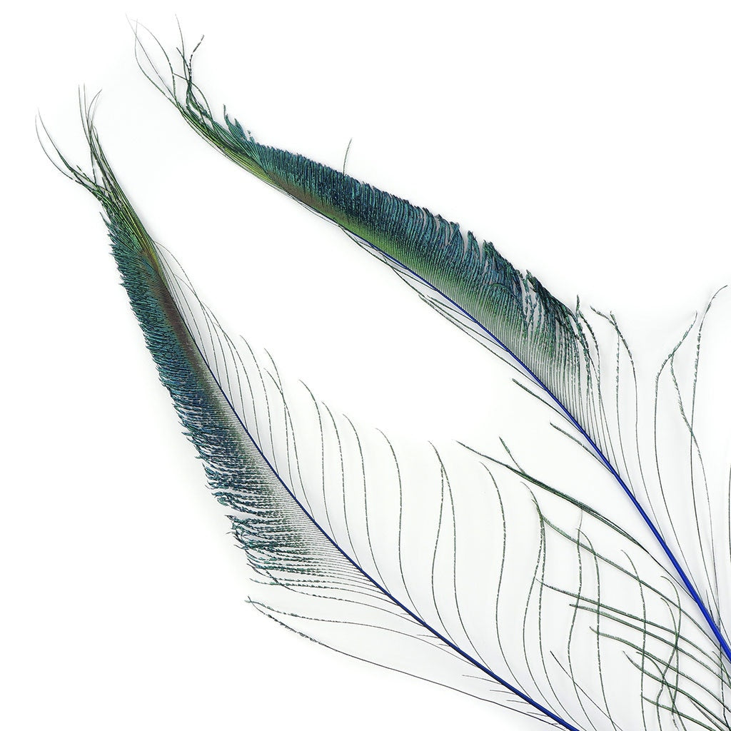 Peacock Swords Stem Dyed - Royal