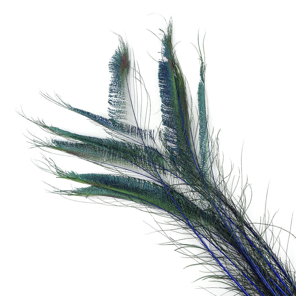 Bulk Peacock Sword Feathers Stem Dyed - 100 pc - 25-40" - Royal