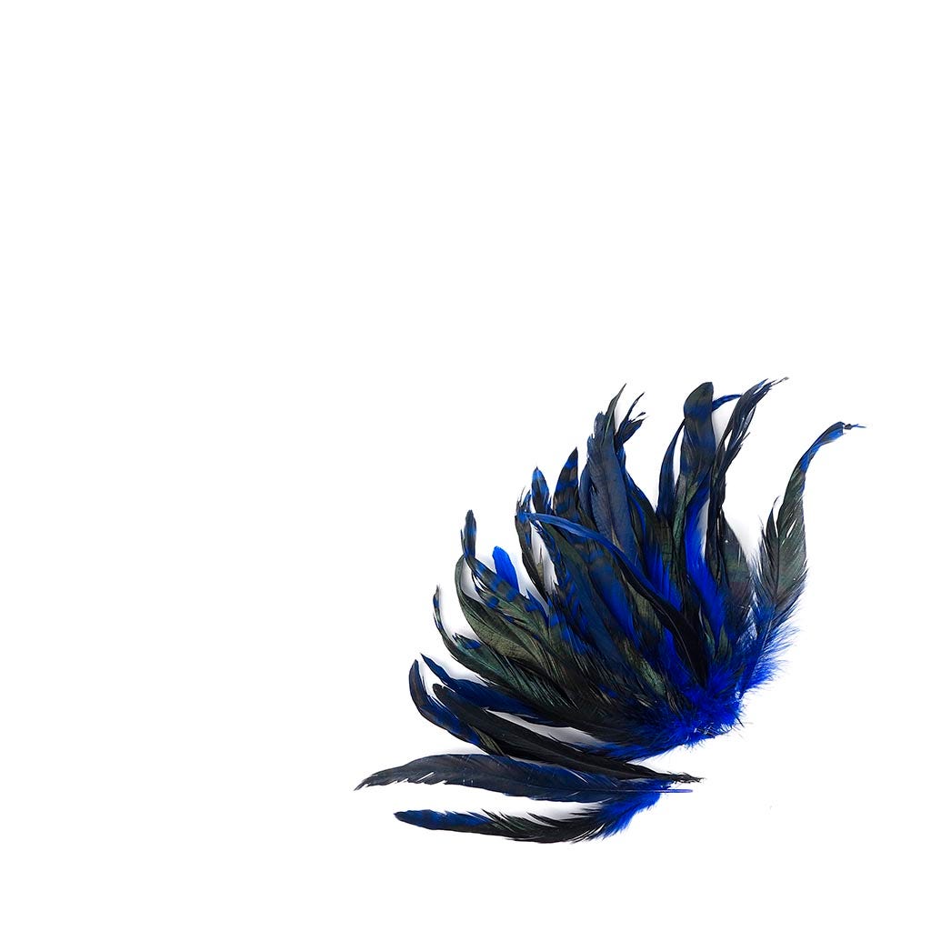 Rooster Coque Tails-Chinchilla Royal