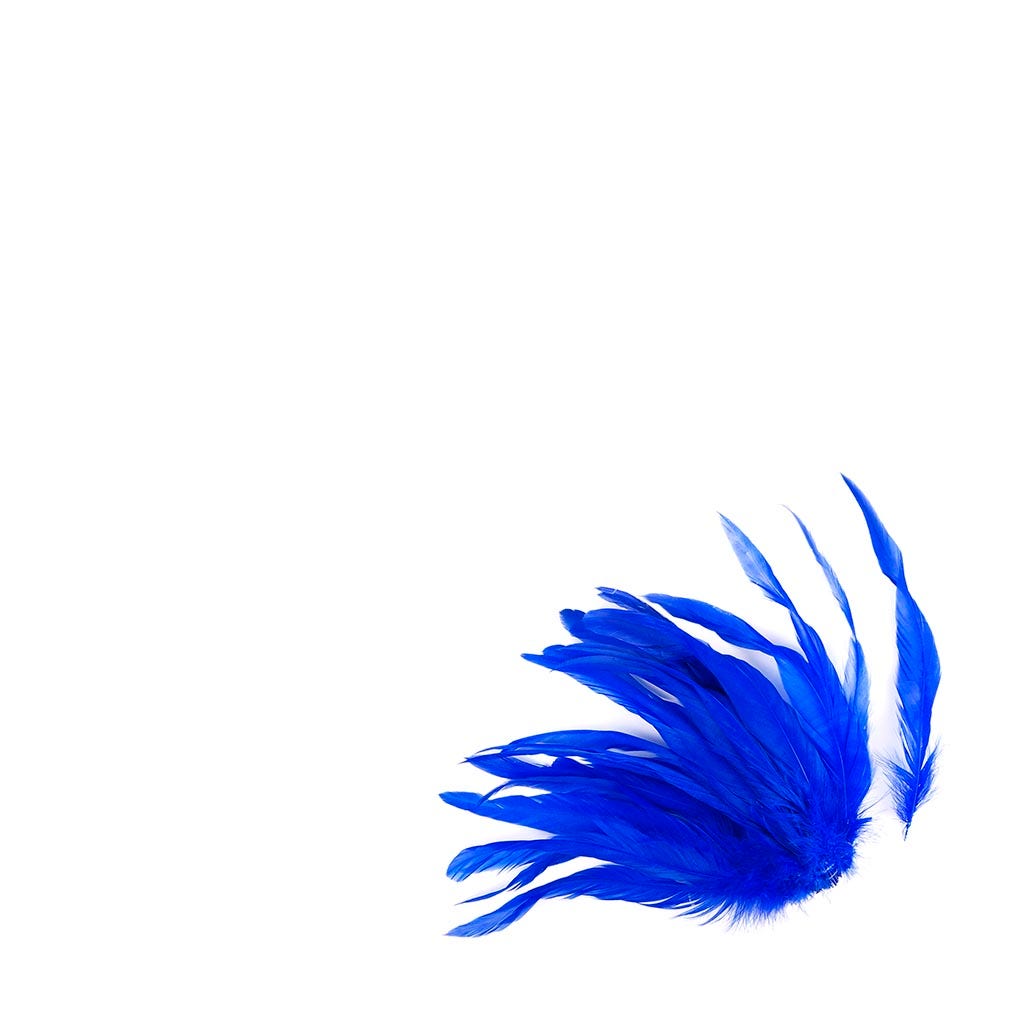Rooster Coque Tails White-Dyed - Royal