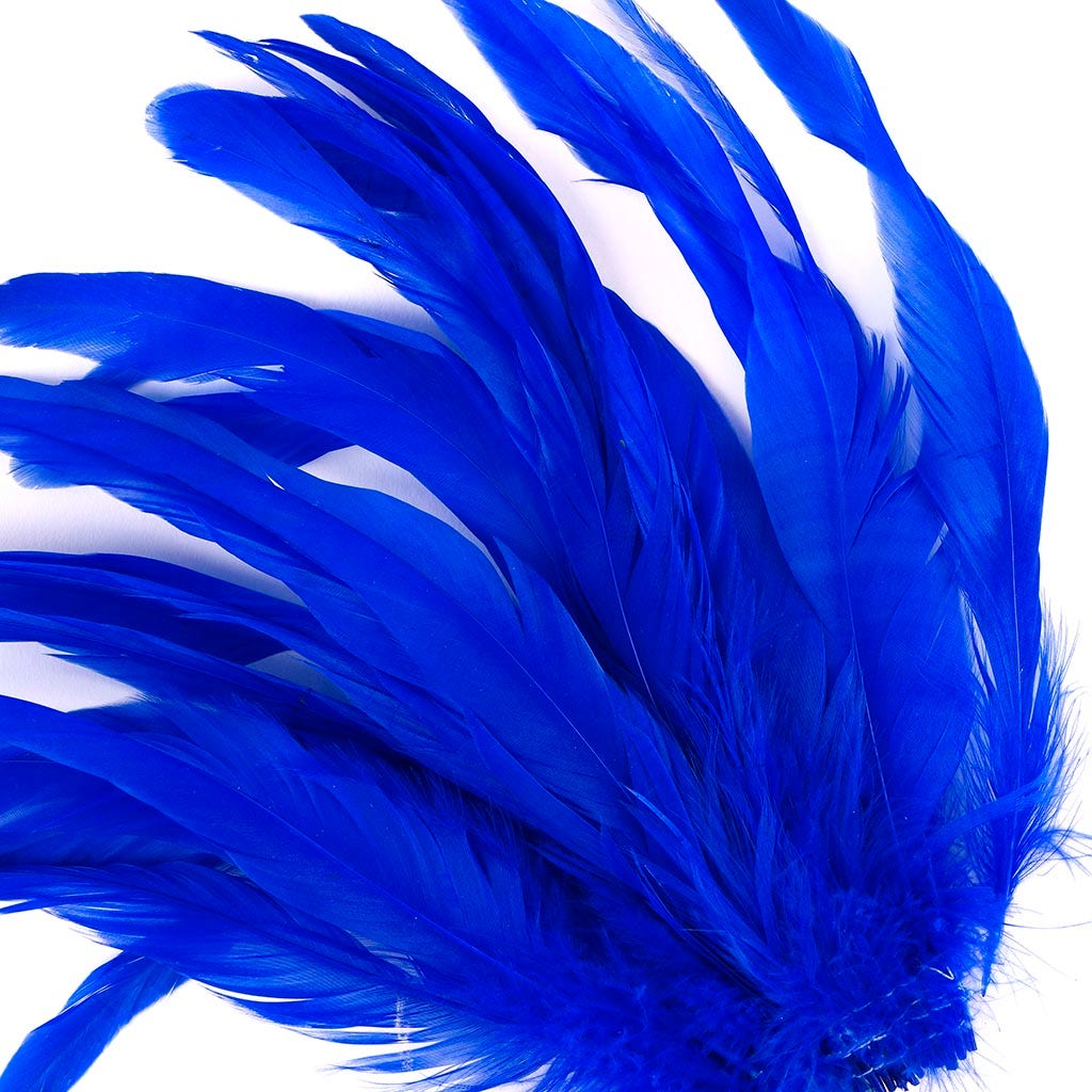 Rooster Coque Tails White-Dyed - Royal