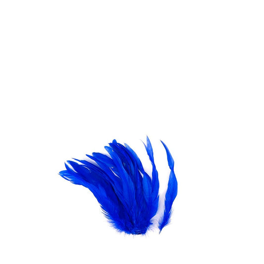 Rooster Coque Tails White-Dyed - Royal