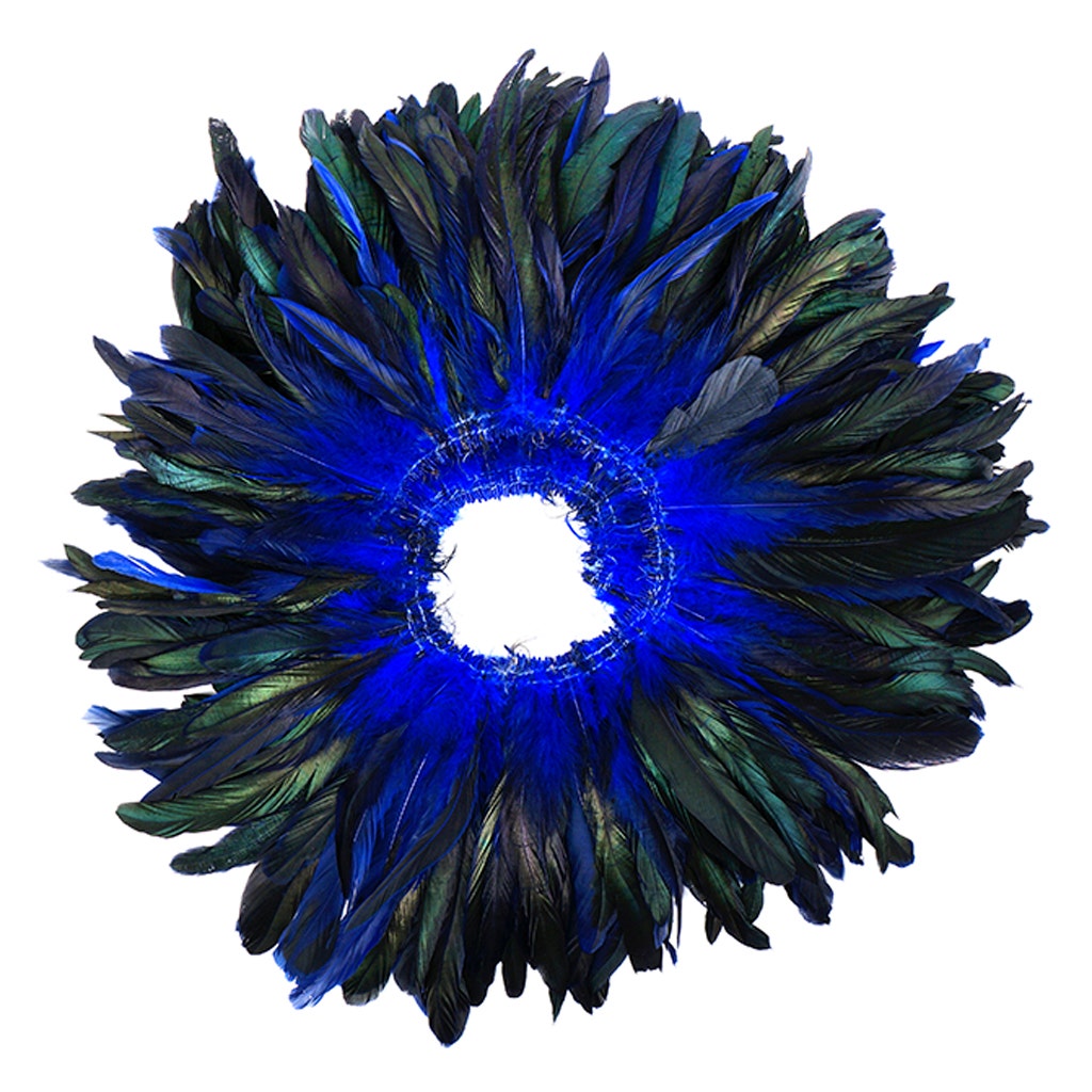 Rooster Coque Tails-Dyed - Royal