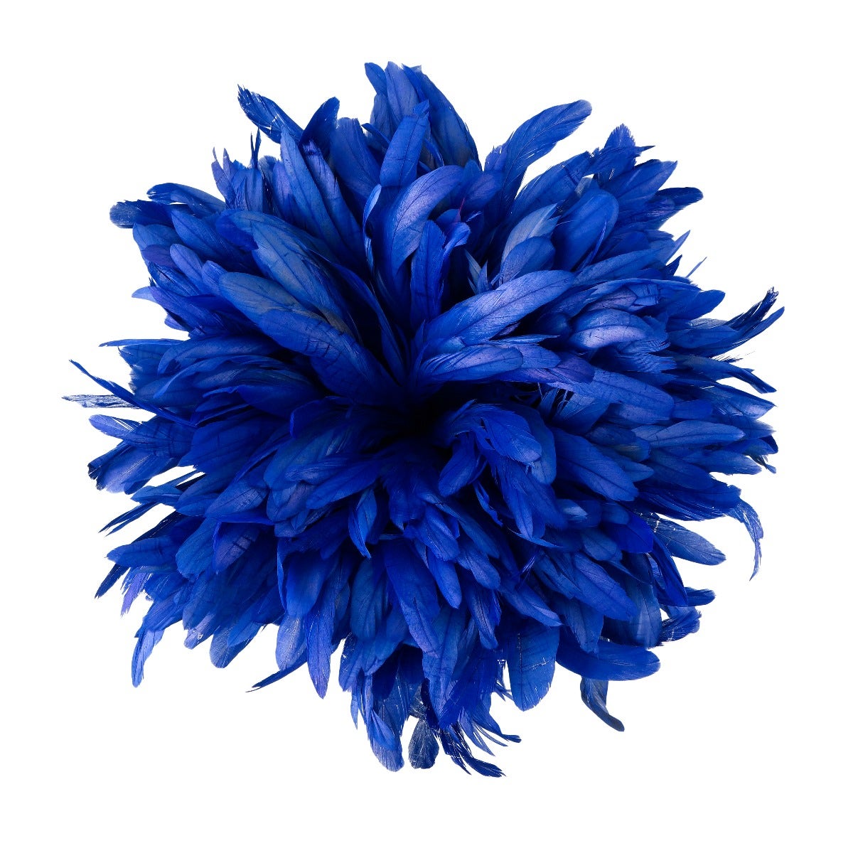 ROOSTER COQUE TAILS FEATHERS BLEACH DYED 7-10” - 1/2 Yard ( 18" ) - Royal