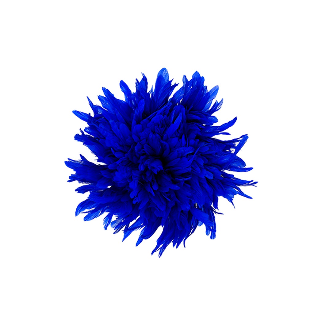 Rooster Coque Tails White-Dyed - Royal