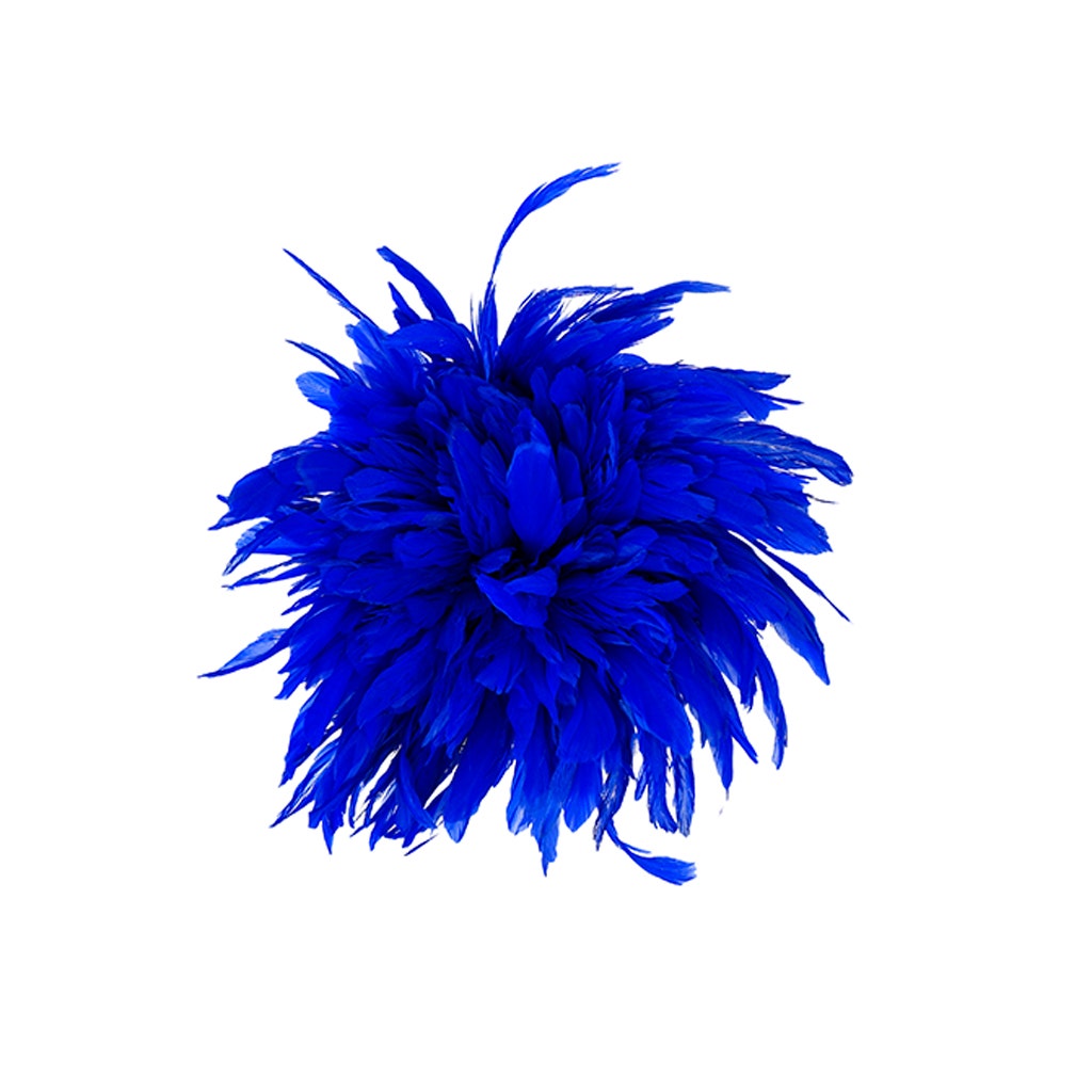 Rooster Coque Tails White-Dyed - Royal