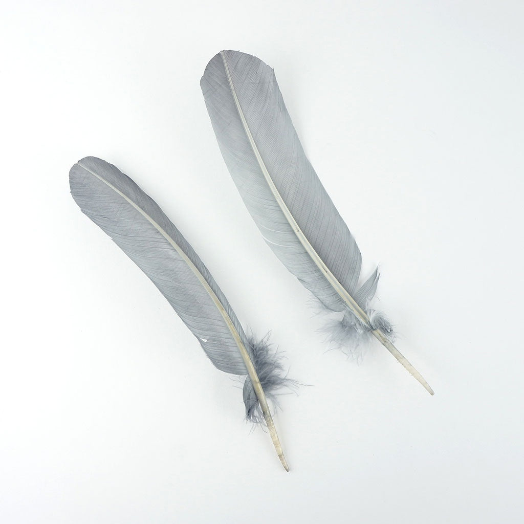 Turkey Quills Dyed Feathers - Silver