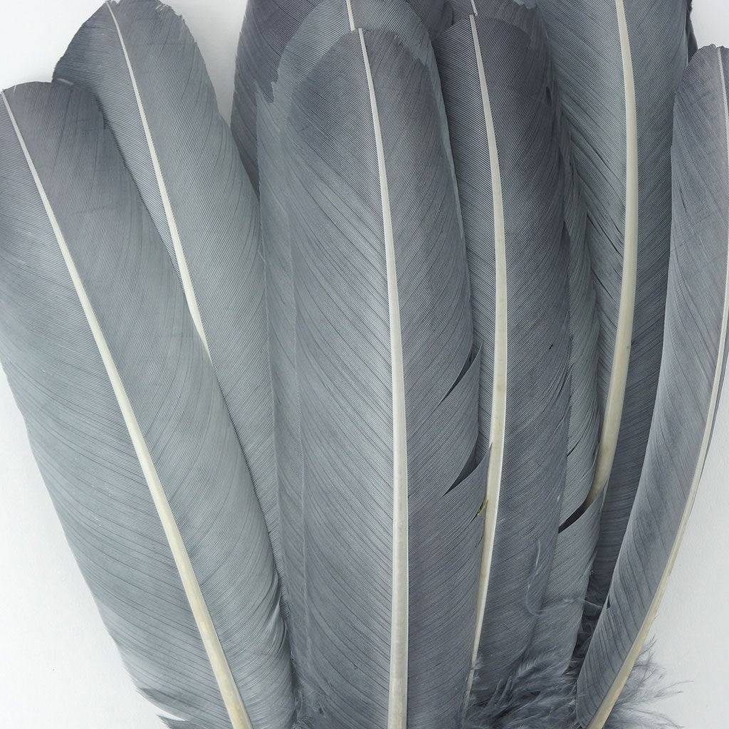 Turkey Quills Selected Silver