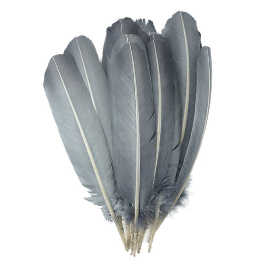 Turkey Quills Selected Silver