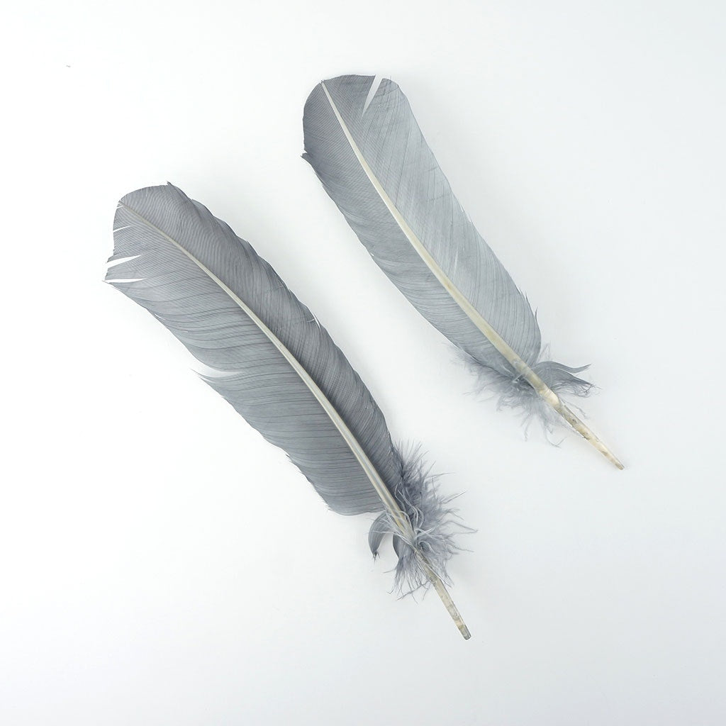 Turkey Quills Selected Silver