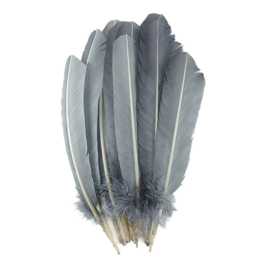 Turkey Quills by Pound - Right Wing - Silver