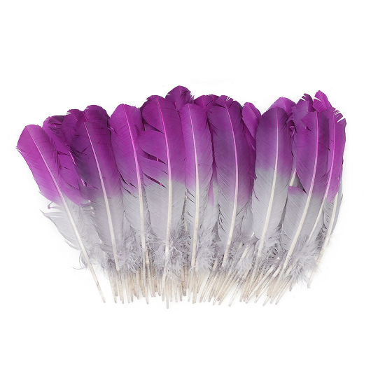 Ombre Turkey Quill Feathers 10-12" Dip .25 lb - Very Berry/Silver