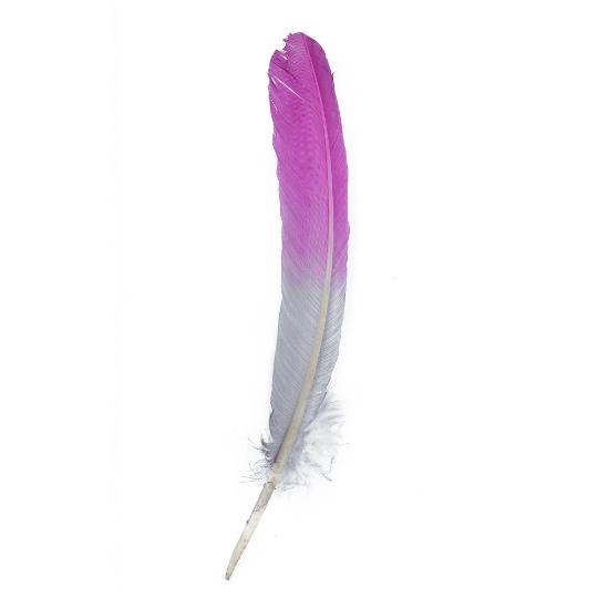 Ombre Turkey Quill Feathers 10-12" Dip .25 lb - Very Berry/Silver