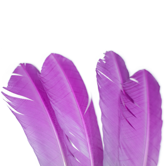 Ombre Turkey Quill Feathers 10-12" Dip .25 lb - Very Berry/Silver