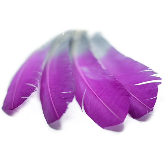 Ombre Turkey Quill Feathers 10-12" Dip .25 lb - Very Berry/Silver