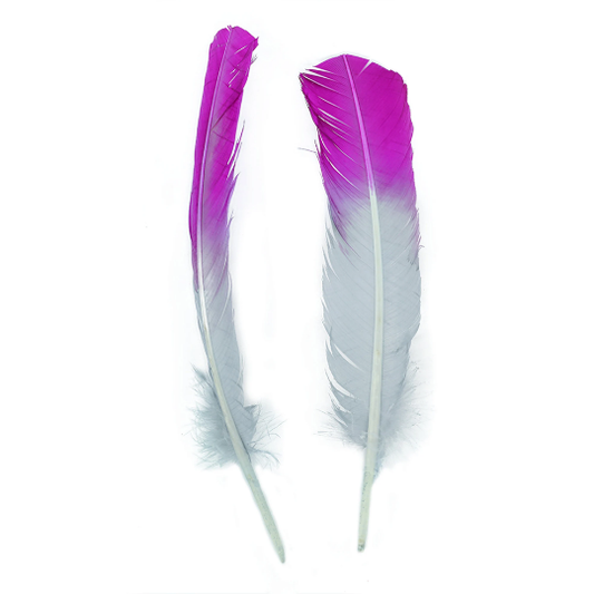 Ombre Turkey Quill Feathers 10-12" Dip .25 lb - Very Berry/Silver