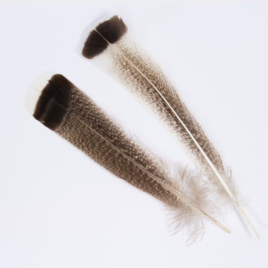 Natural Turkey Tails Selected Feathers - Black-Eggshell-Natural - 10 to 12-inch - 12 Pieces