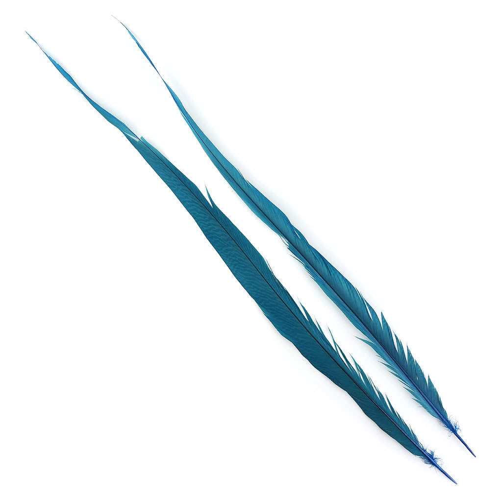 BGP30B Golden Pheasant Tails 25-30" Bleached & Dyed (3 Pieces Per Package) Dark Turquoise