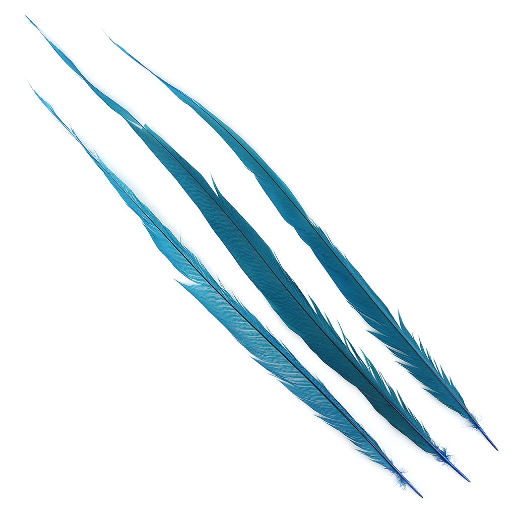 BGP30B Golden Pheasant Tails 25-30" Bleached & Dyed (3 Pieces Per Package) Dark Turquoise