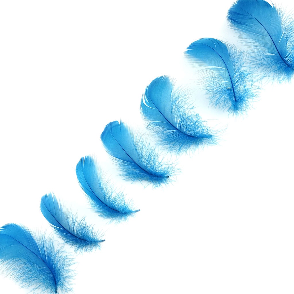 Dark Turquoise Loose Goose Coquille Feathers 3-5 inch