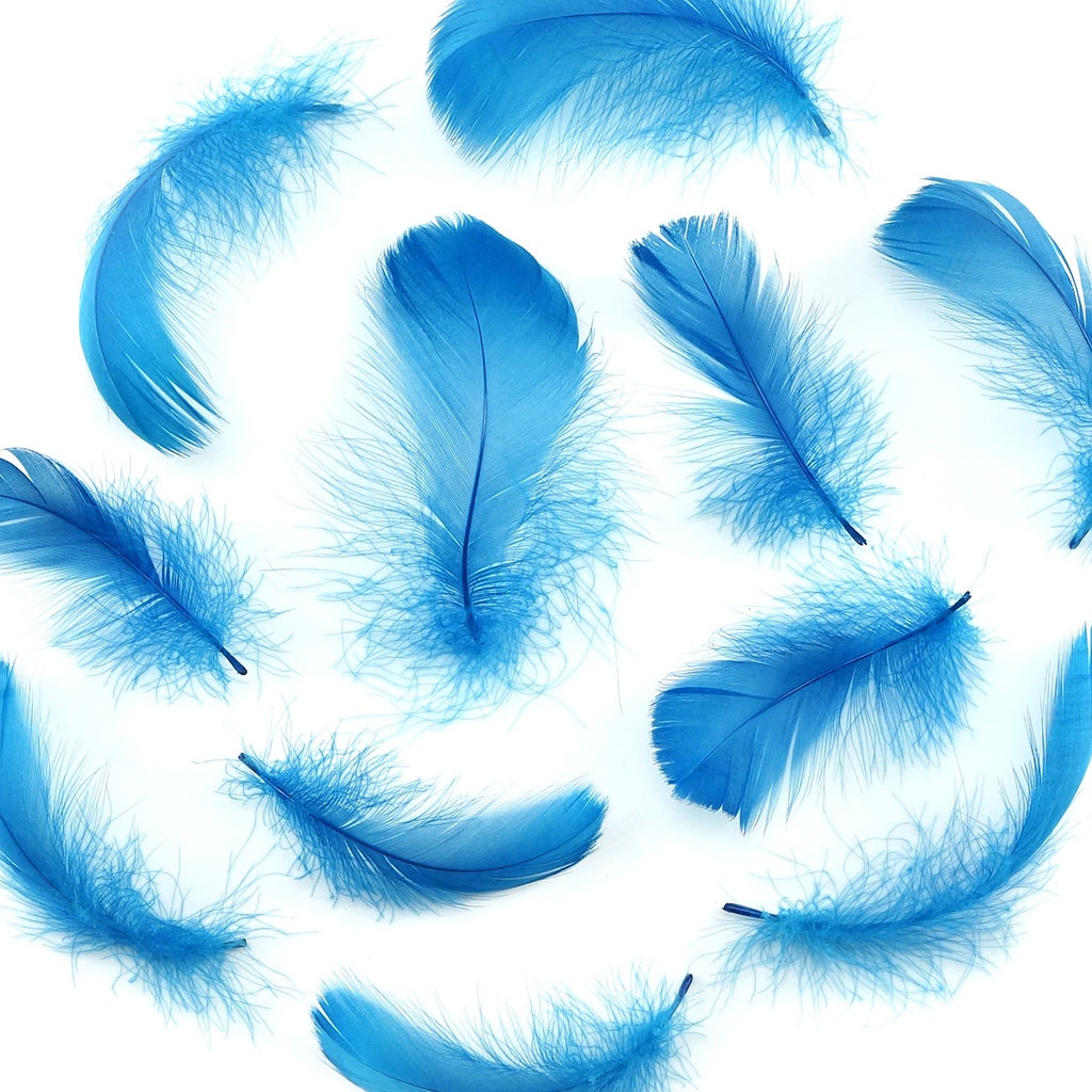 Dark Turquoise Loose Goose Coquille Feathers 3-5 inch