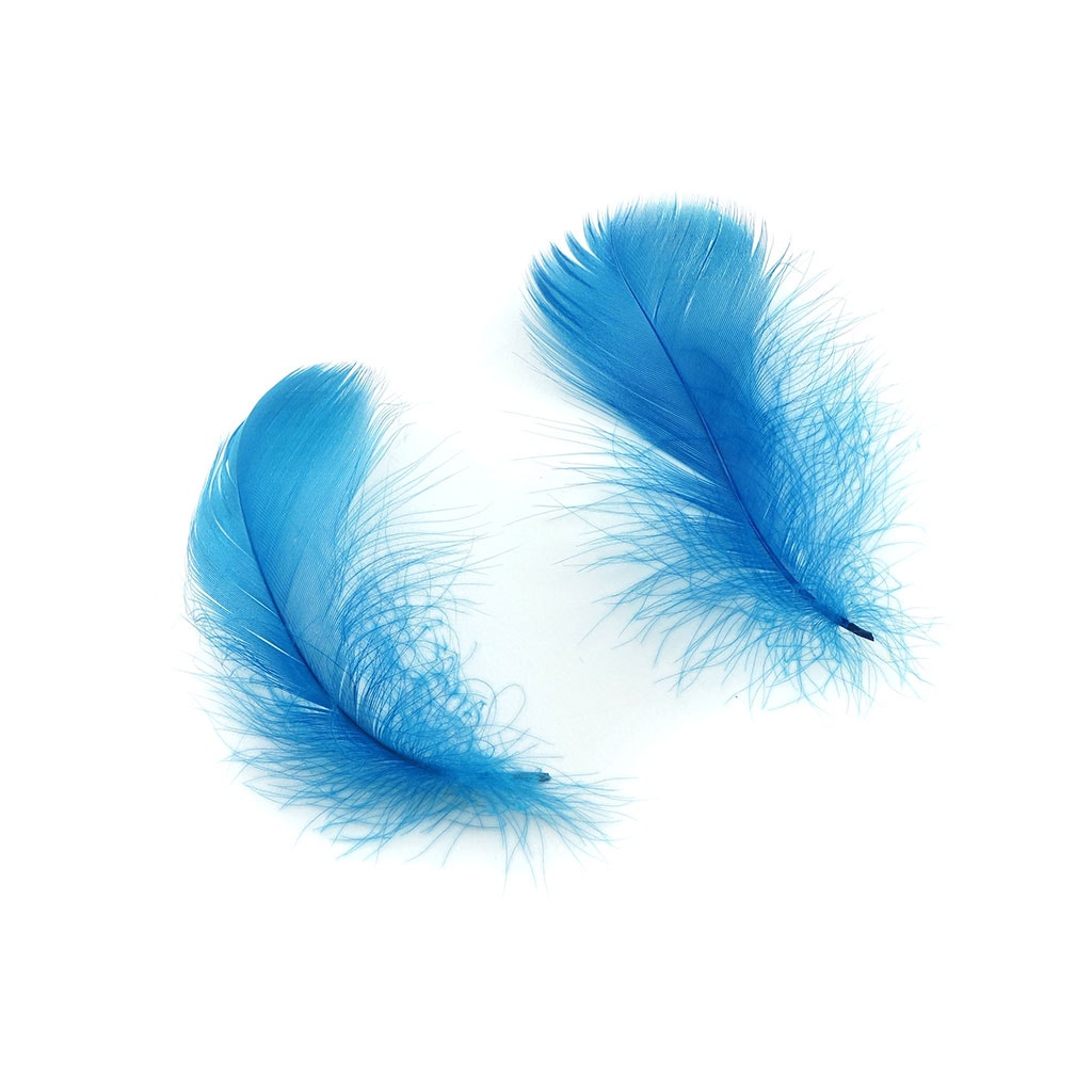 Dark Turquoise Loose Goose Coquille Feathers 3-5 inch