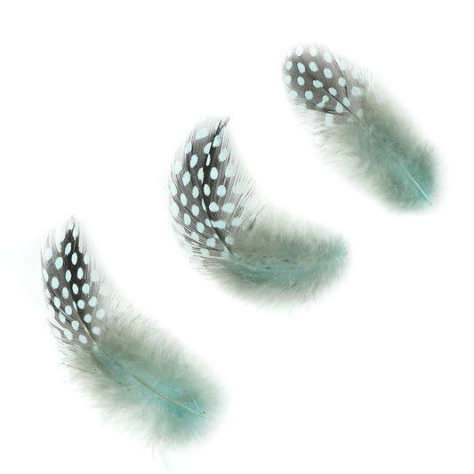 Bulk Guinea Hen Plumage - 1/4 lb - Light Turquoise