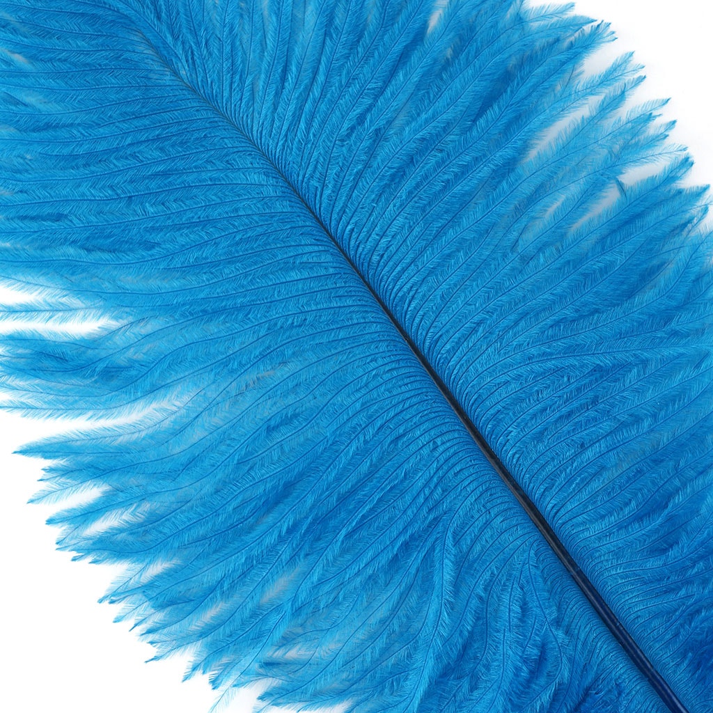 Ostrich Feathers 9-12" Drabs -  Dark Turquoise