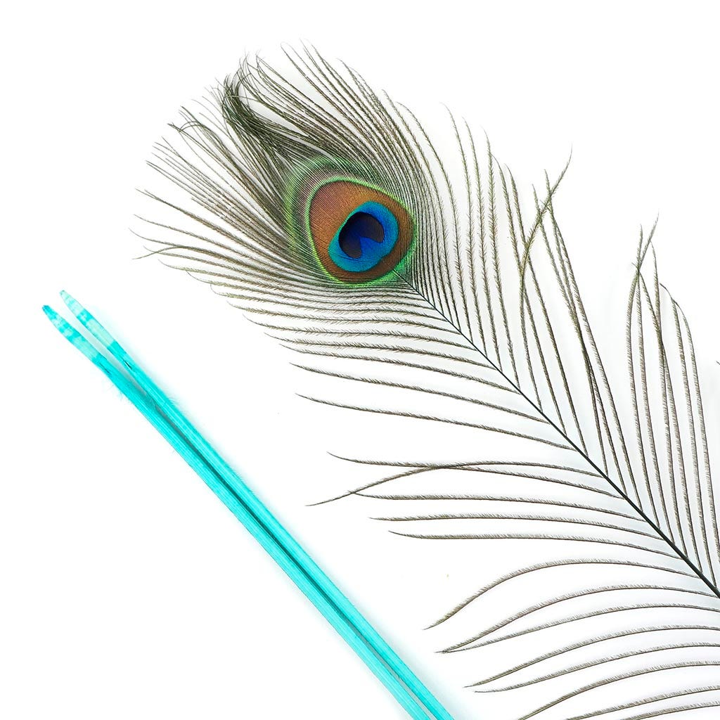 Peacock Feather Eyes Stem Dyed - 25-40 Inch - 10 PCS Light Turquoise