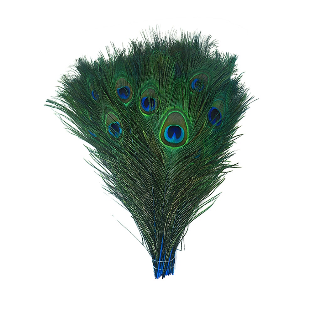 Bulk Peacock Eye Feathers (Full Eye) Stem Dyed - 100 pc - 8-15" - Dark Turquoise