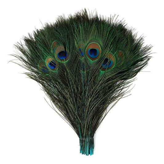 Peacock Tail Eyes Stem Dyed Light Turquoise