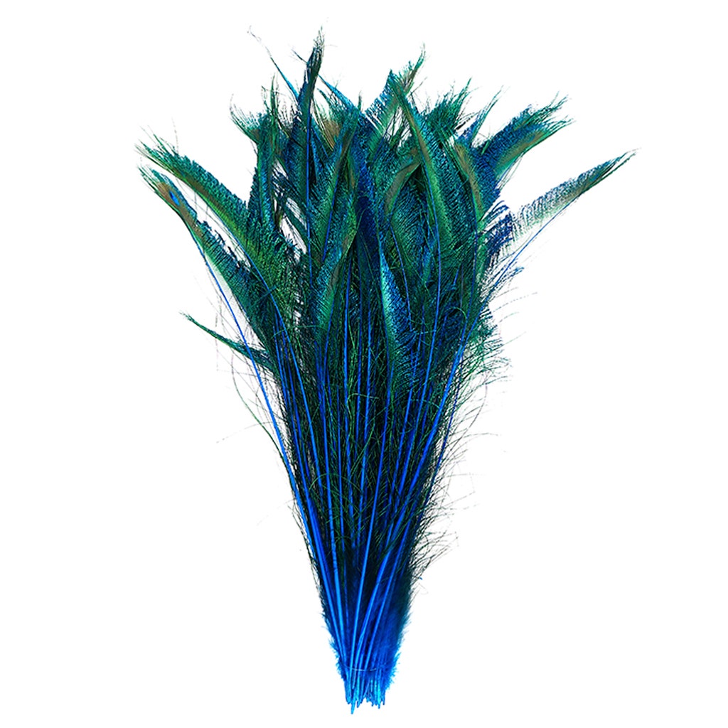 Peacock Swords Stem Dyed - Dark Turquoise