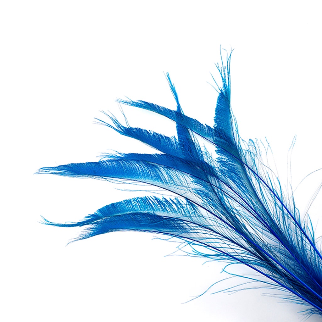 Peacock Swords Bleached Dyed - Dark Turquoise