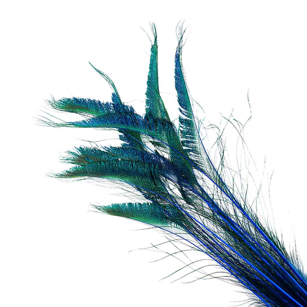 Peacock Swords Stem Dyed - Dark Turquoise