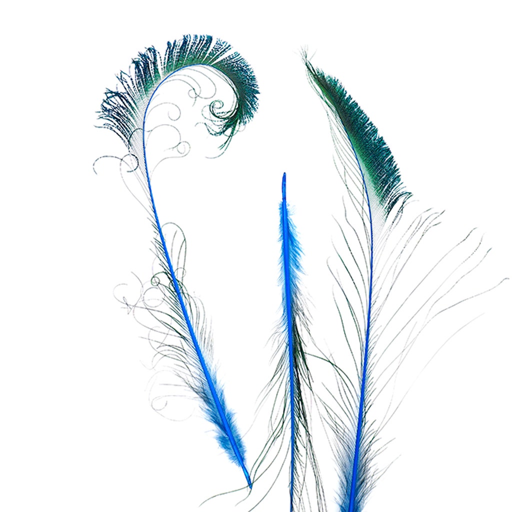 Peacock Swords Stem Dyed - Dark Turquoise