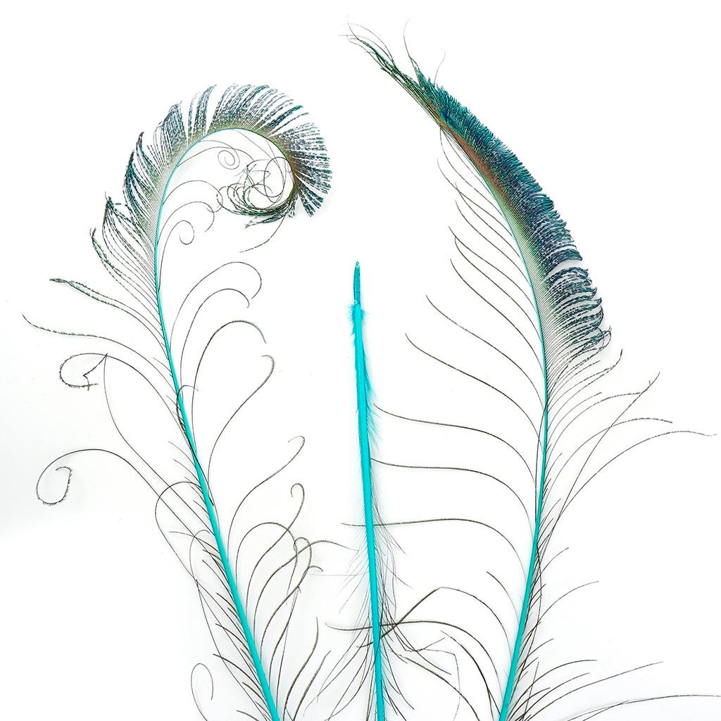 Peacock Swords Stem Dyed - Light Turquoise