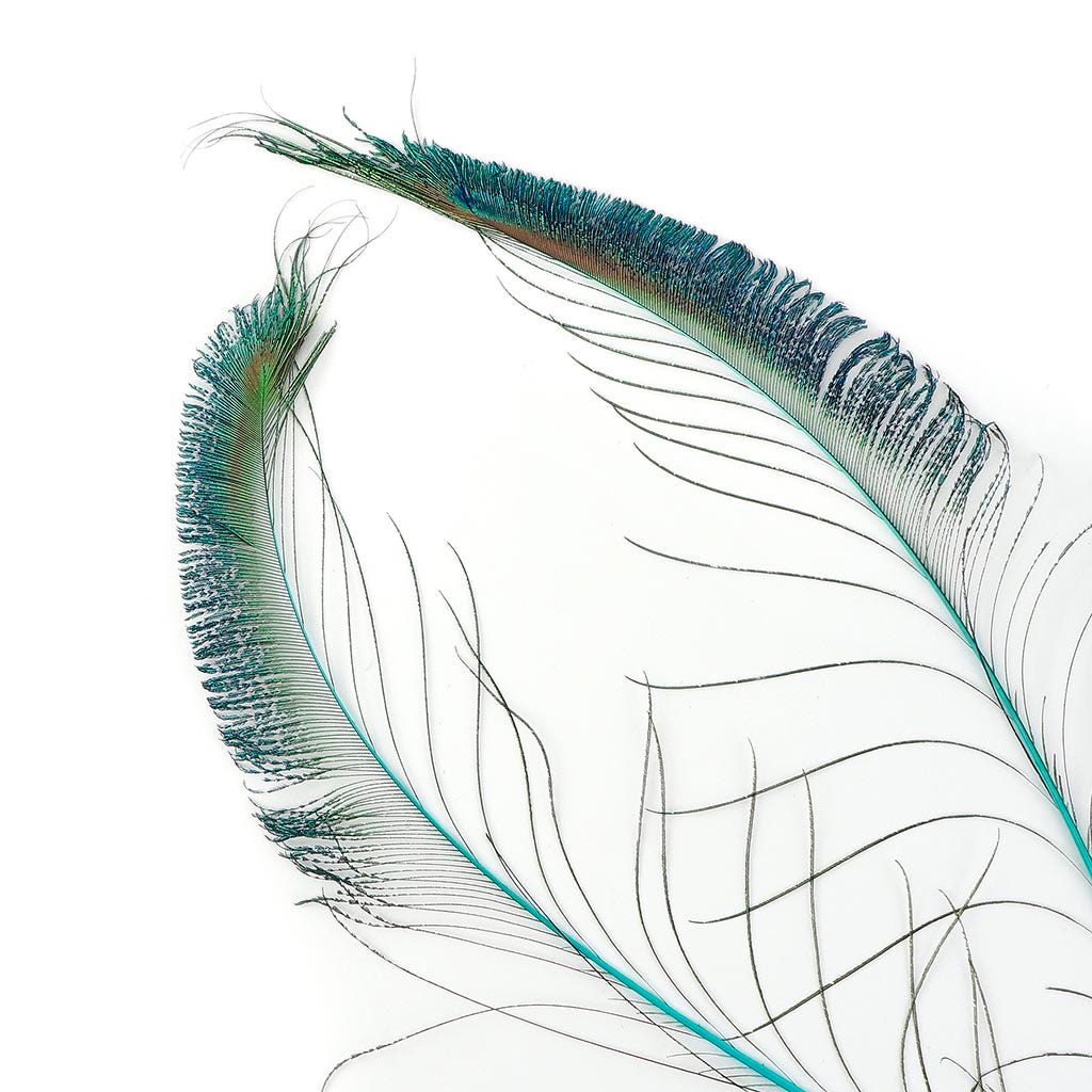 Peacock Swords Stem Dyed - Light Turquoise