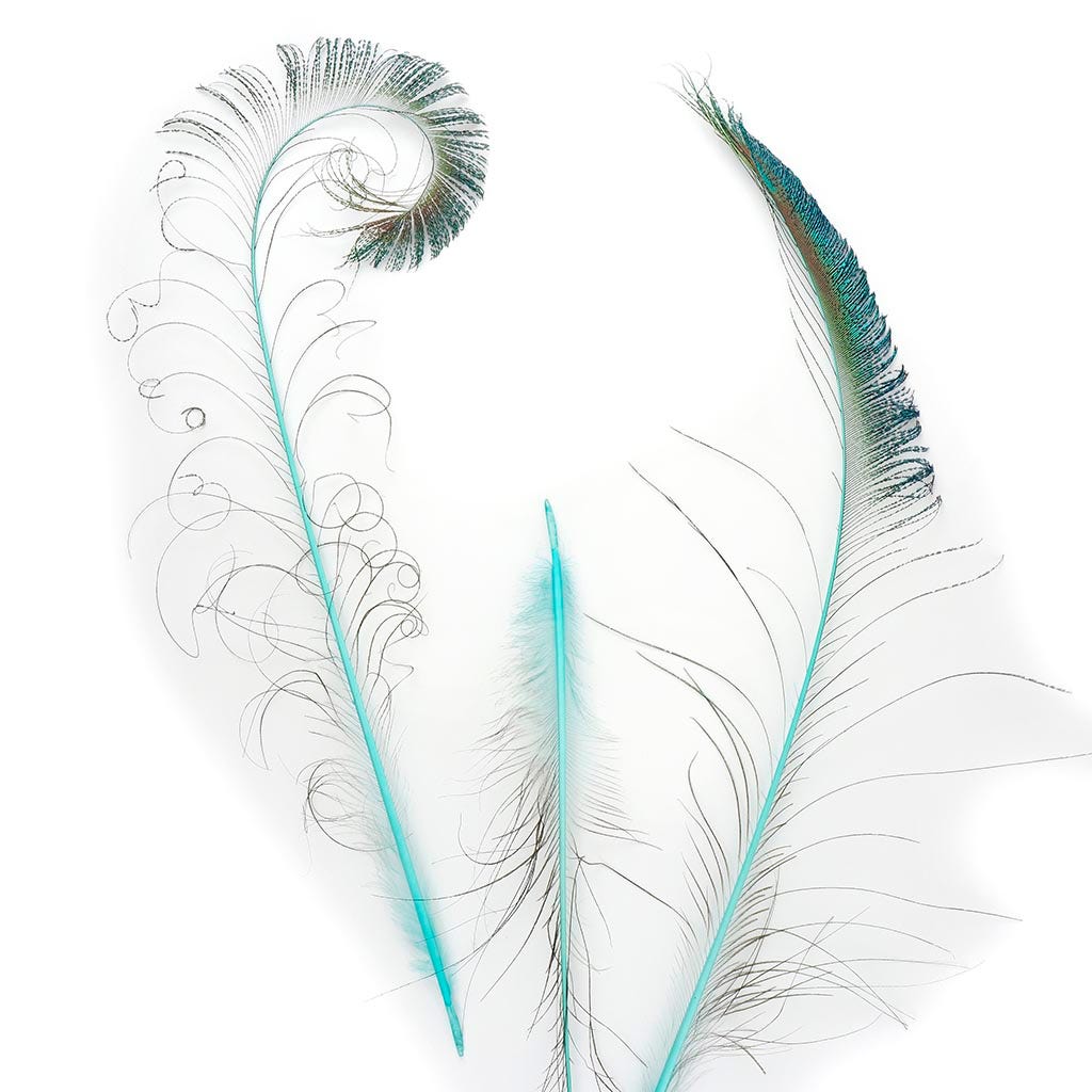 Peacock Swords Stem Dyed - Light Turquoise